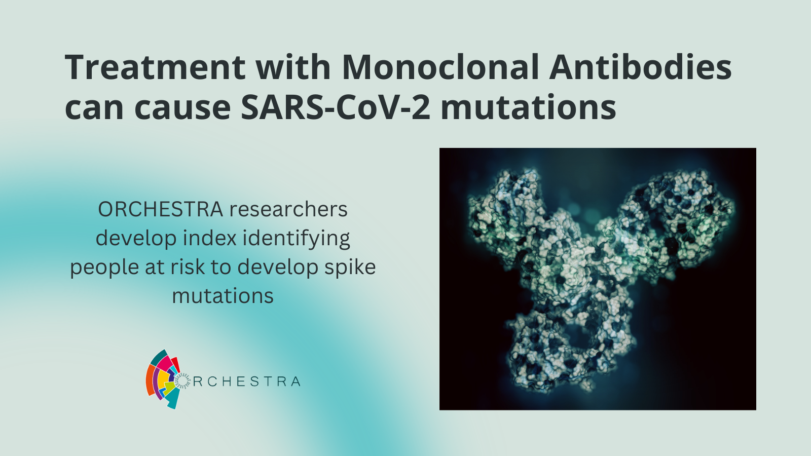 Treatment with Monoclonal Antibodies can cause SARS-CoV-2 mutations – researchers develop score identifying patients at risk